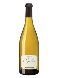 CIGALUS AUDE HAUTERIVE 2020