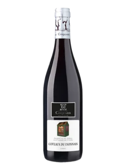 GUIGNOL ET SON THÉATRE 2022