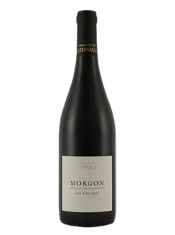 MORGON LES CHARMES DOMAINE DE LATHEVALLE